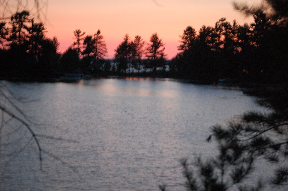 SUMMER (171)
